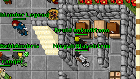 Druid ankuditano on screen
