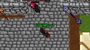 Elfis Bost on screen
