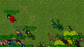 Malukaz on screen