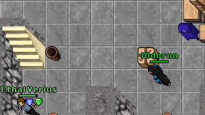 Hidorun on screen