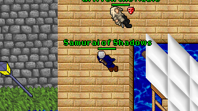 Samurai of Shadows on screen