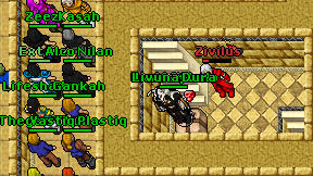 Lifeshadow on screen