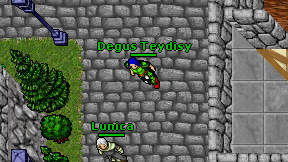 Degus Teydisy on screen