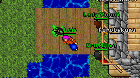 Leis on screen