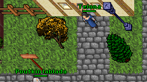 Telona on screen