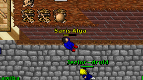 Saris Alga on screen