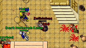 Zolhinhus on screen