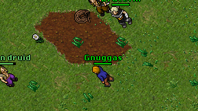 Gnuggas on screen
