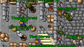 Tiaguim Druid on screen