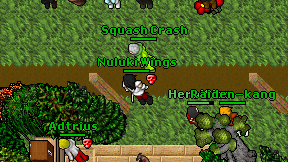 Nuluki Wings on screen