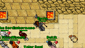 Enzin on screen