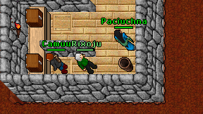 Rixoju on screen