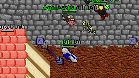 Malfloi on screen