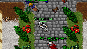 Ziutek Pal on screen