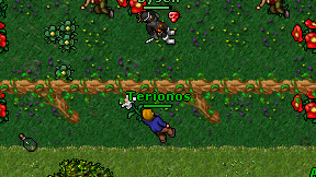 Terionos on screen