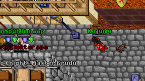 Kojumu on screen