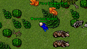 Warrior widin on screen