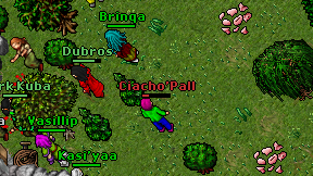 Ciacho'Pall on screen