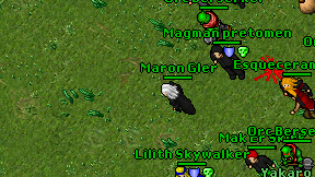 Maron Gler on screen