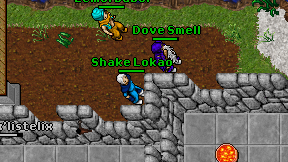 Shake Lokao on screen