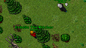 Erbello The Witcher on screen