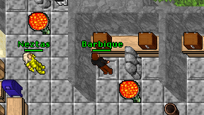 Barbique on screen