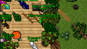 Mirrow Phoenix on screen