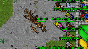 Lukod on screen