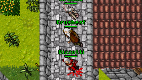 Krushest on screen