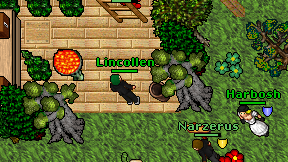 Lincollen on screen
