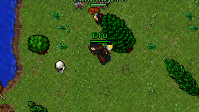 Efu on screen