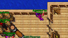 Agnies'ia on screen