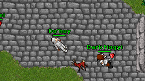 Do'huy on screen