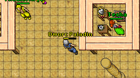 Dworc Paladin on screen