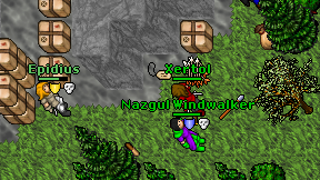 Xertol on screen