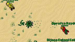 Oprafca Rzyduf on screen