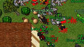 Luke Ti'Aro on screen