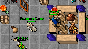 Grande Caos on screen
