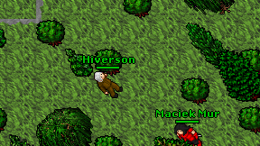 Hiverson on screen