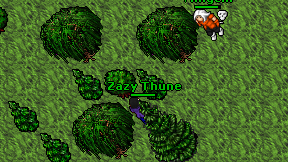 Zazy Thune on screen