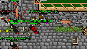Eternal Warior on screen