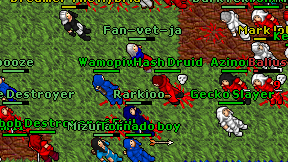 Hash Druid on screen