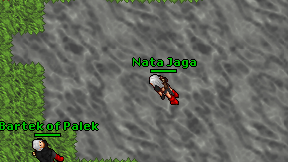 Nata Jaga on screen