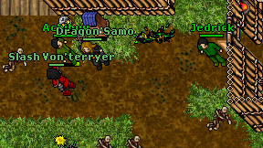 Dragon'Samo on screen
