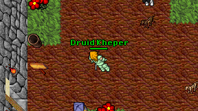Druid Kheper on screen