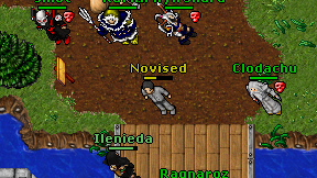 Novised on screen