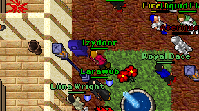 Izydoor on screen