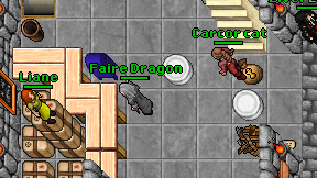 Faire Dragon on screen