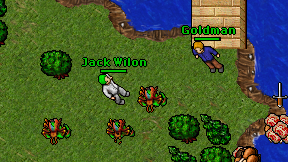 Jack Wilon on screen