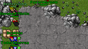 Payarmornow on screen